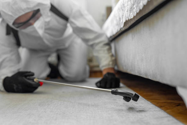 Professional Wasp Control technician working in Conway Springs, KS